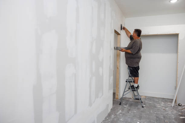 Best Crawl Space Mold Remediation  in Logansport, IN