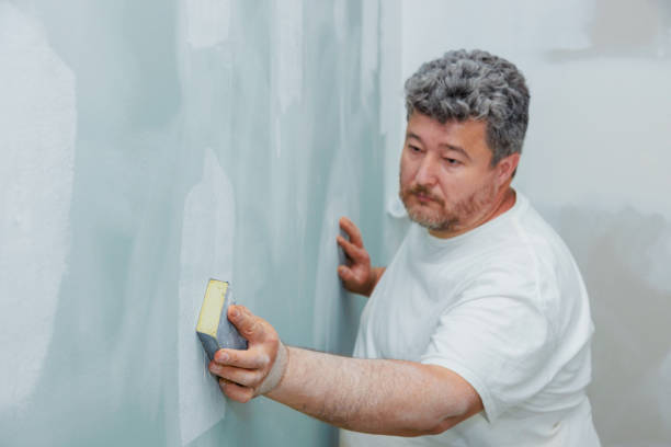 Trusted Logansport, IN Mold Removal Experts