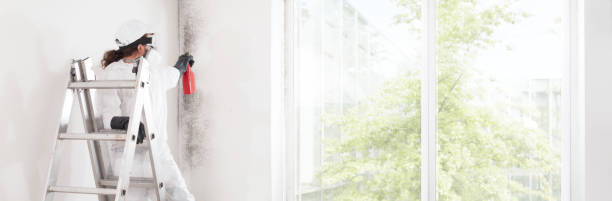 Best Residential Mold Inspection & Testing  in Logansport, IN