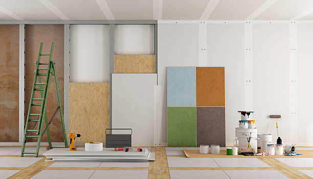 Best Mold Damage Restoration  in Logansport, IN
